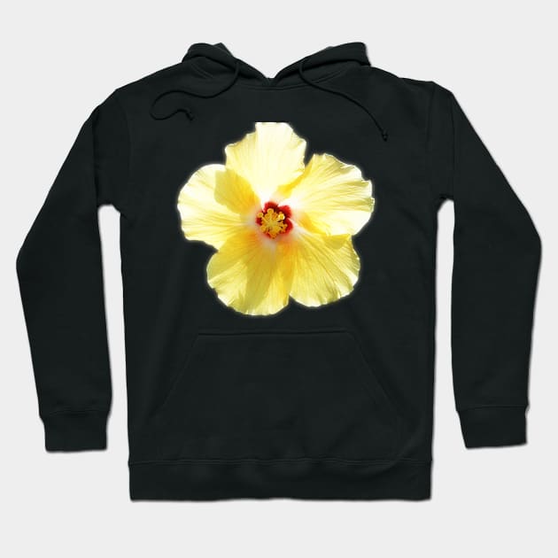 Yellow Hibiscus Hoodie by janmarvin